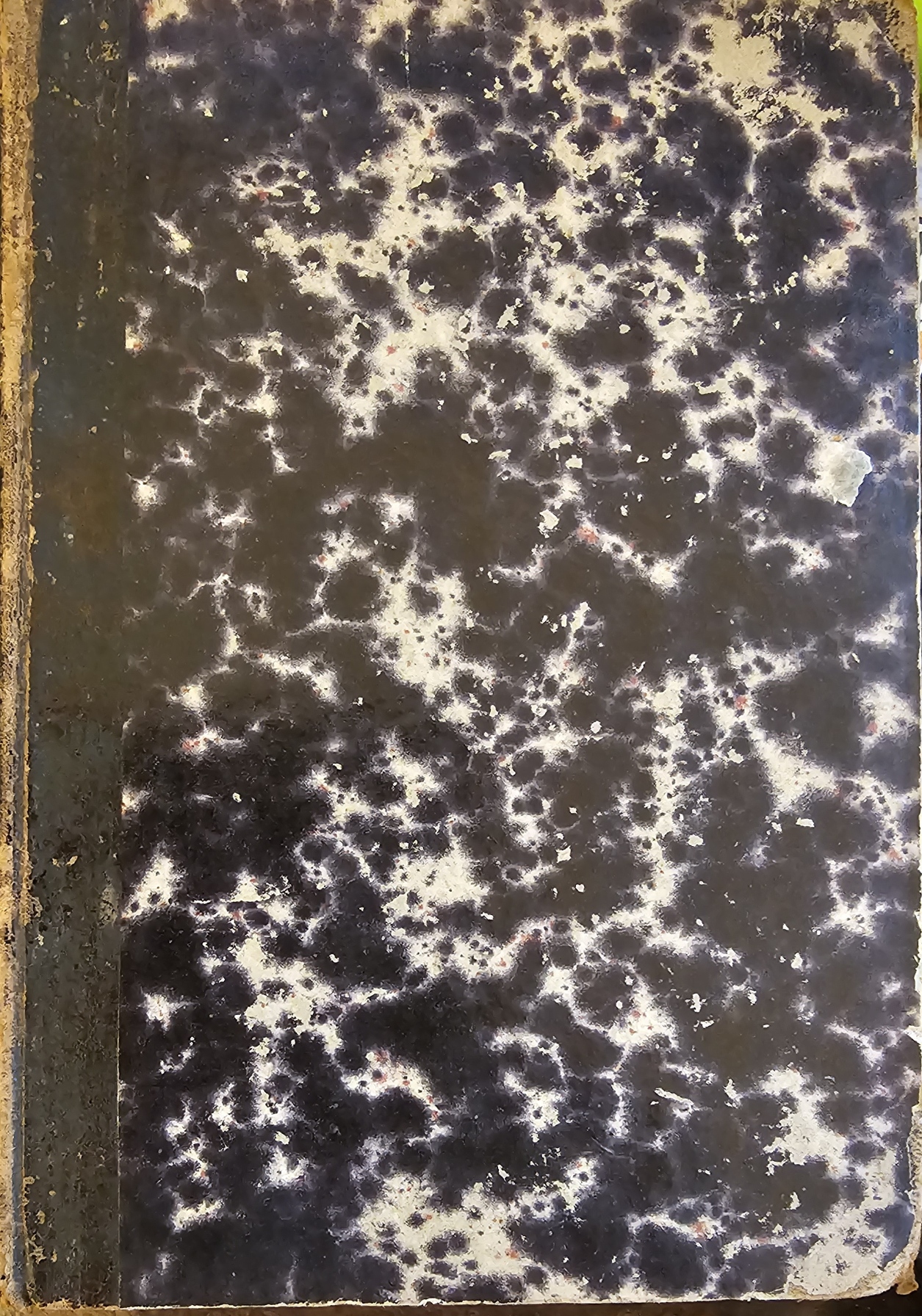 Die Deutsche Nationalliteratur des 19. Jahrhunderts, 4. Band.jpg