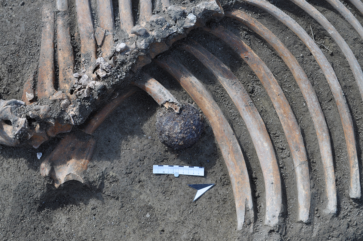 Nahansicht Kanonenkugel[3]