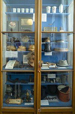Vitrine zum Thema Kopf
